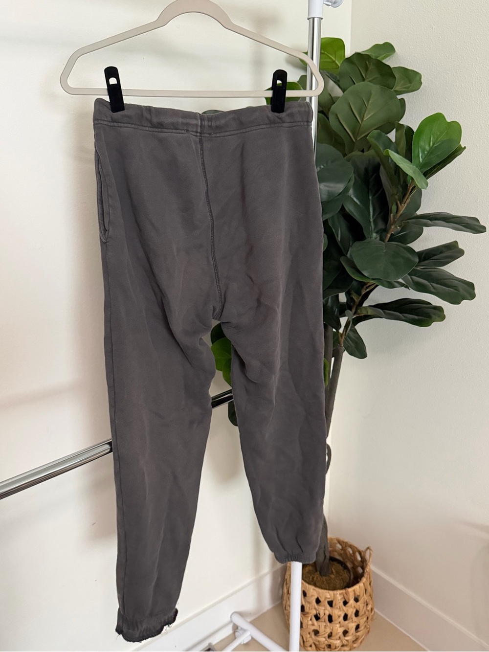 Elwood Organic Cotton Joggers - Picture 4 of 5